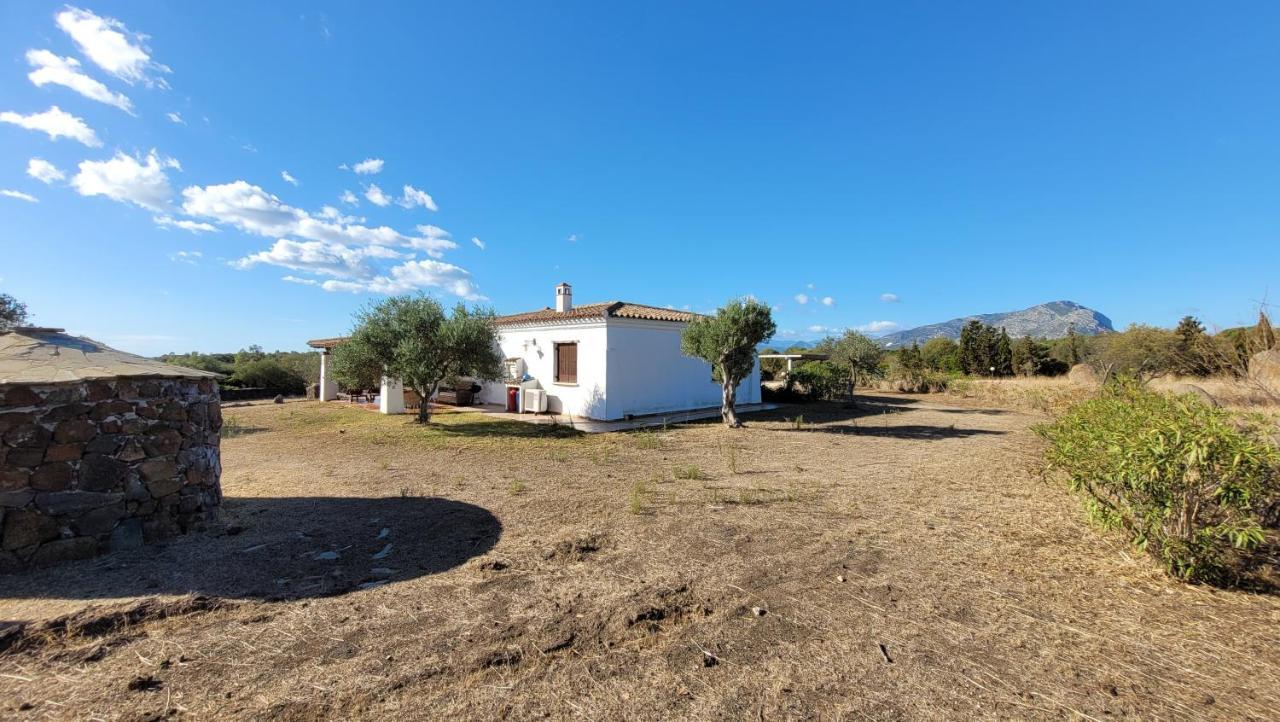 Villa Casa Mate أروسييْ المظهر الخارجي الصورة